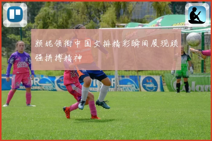 颜妮领衔中国女排精彩瞬间展现顽强拼搏精神