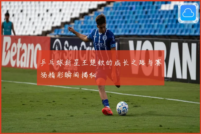 乒乓球新星王楚钦的成长之路与赛场精彩瞬间揭秘