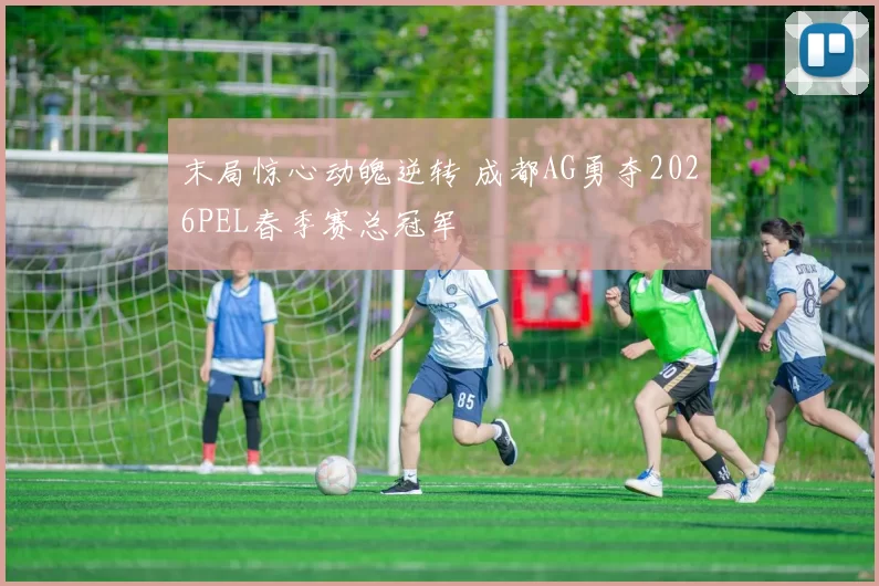 末局惊心动魄逆转 成都AG勇夺2026PEL春季赛总冠军
