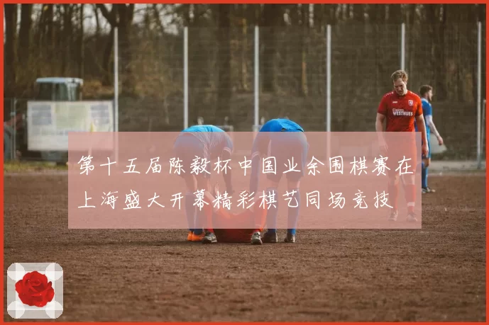 第十五届陈毅杯中国业余围棋赛在上海盛大开幕精彩棋艺同场竞技