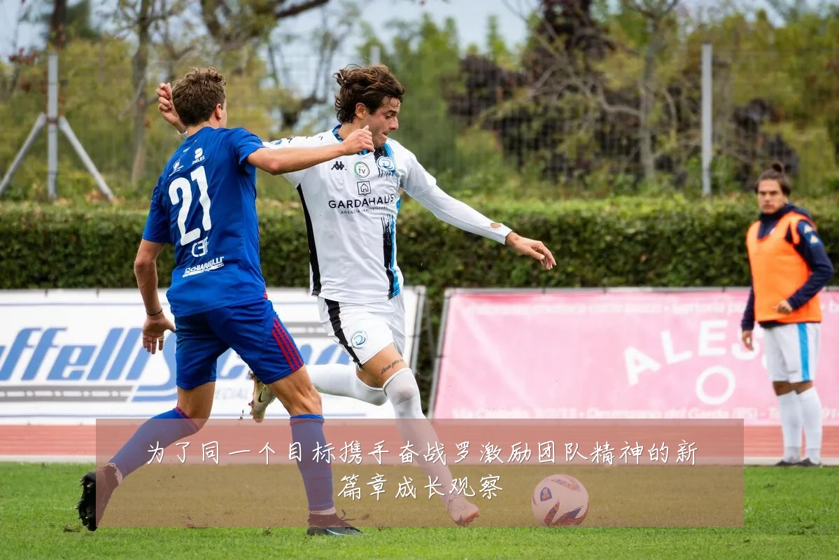 为了同一个目标携手奋战罗激励团队精神的新篇章成长观察