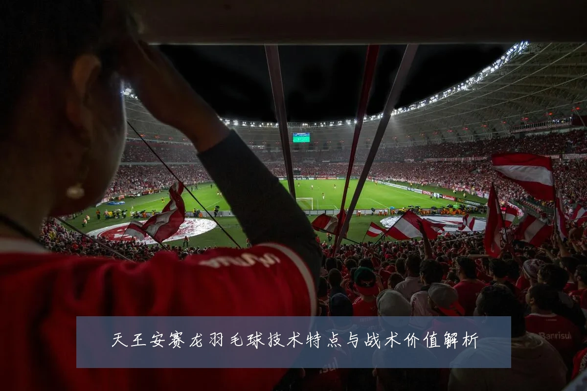 天王安赛龙羽毛球技术特点与战术价值解析